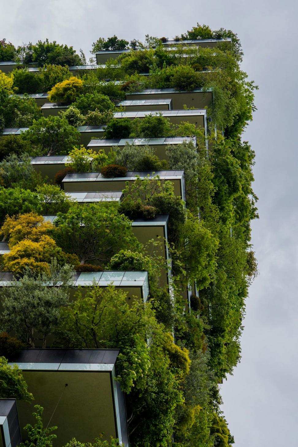 EcoTech Campus